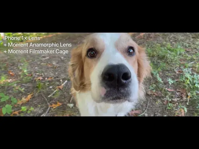 'Video thumbnail for Moment Anamorphic Lens Video Test'