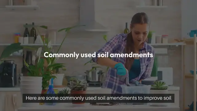 'Video thumbnail for Best Soil Amendments for Gardening'