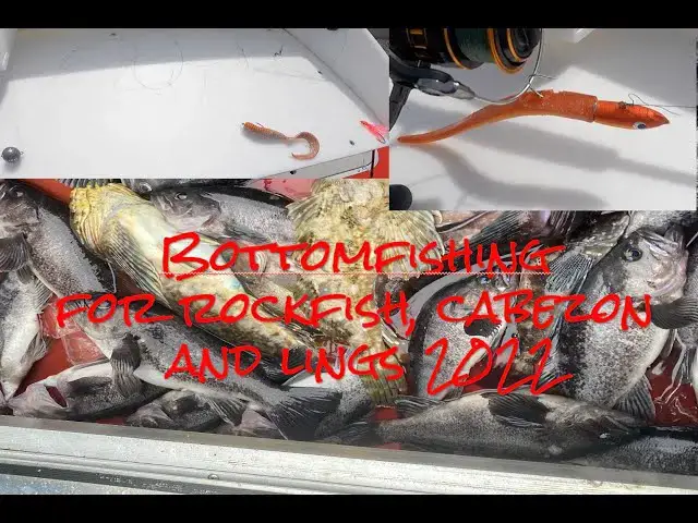 'Video thumbnail for Bottomfishing for Lingcod, Rockfish and Cabezon 2022'