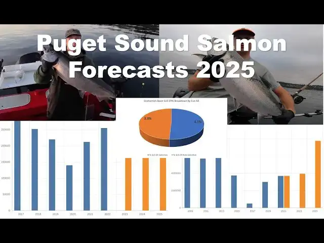 'Video thumbnail for What's expected in 2025 for Puget Sound Salmon? I break down the forecasts and explain the issues'