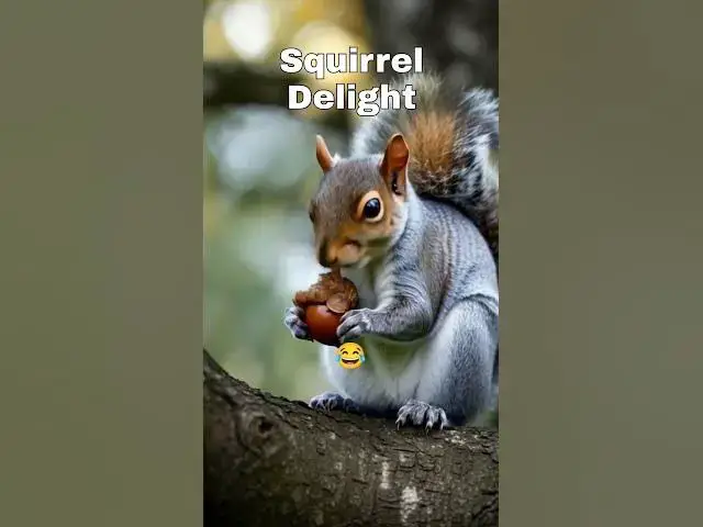 'Video thumbnail for "¡Esta Ardilla Comiendo una Nuez es Pura Ternura! 🐿️🥜✨"'