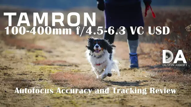 'Video thumbnail for Tamron 100-400mm VC | Autofocus and Tracking Review | 4K'