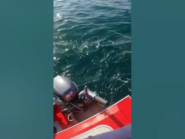 'Video thumbnail for What’s your best double catch you’ve had fishing? This one was a first for me!'