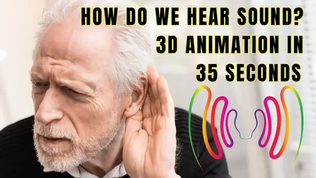 'Video thumbnail for How Do We Hear? | How the Ear Works?| 3D Animation in 35 Seconds @biologyexams4u'