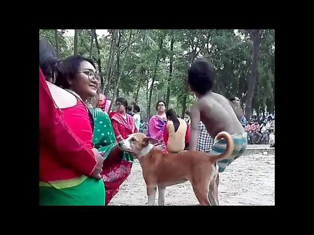 'Video thumbnail for Relation With dog l When dogs and babies together l Amazing relation with dogs and baby.'