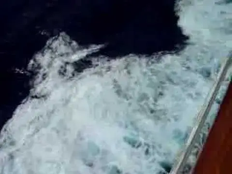 'Video thumbnail for P&O Arcadia cruise ship sailing in middle of Atlantic'