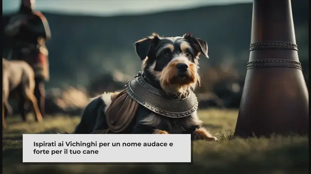 'Video thumbnail for 190+ Nomi Vikingo Belli e Forti per Cani'