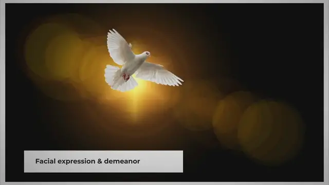'Video thumbnail for What does countenance mean in the bible'