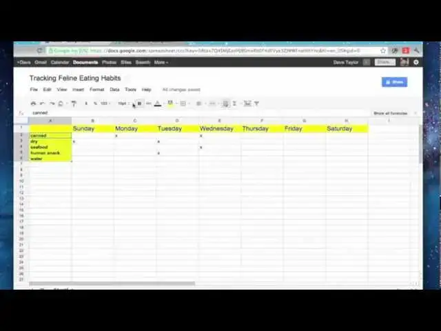 'Video thumbnail for Introduction to Google Docs Spreadsheets'