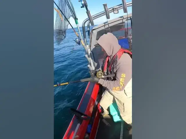 'Video thumbnail for Lingcod rodeo caused some sea sickness this trip 🤣'