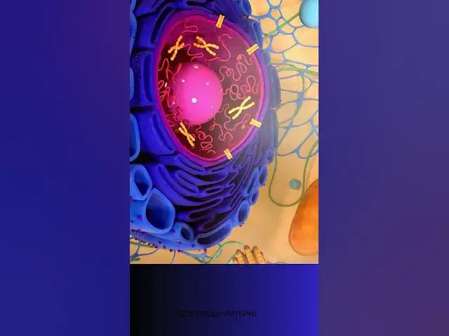 'Video thumbnail for The Cell Animation'
