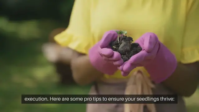 'Video thumbnail for Pro Tips for Successful Seedling Transplanting'