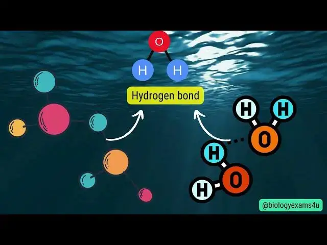 'Video thumbnail for Difference between  High Specific Heat and High Heat of Vaporization of water with example.'