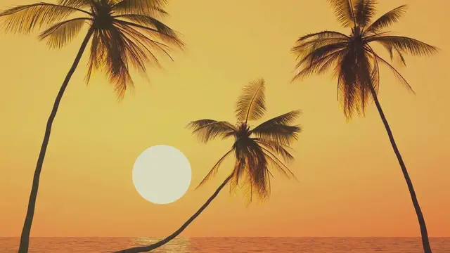 'Video thumbnail for Travel Advisories for 2024 - Watch This Before You Book Your Trip'