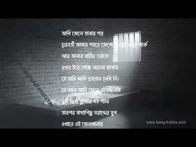 'Video thumbnail for নাজিম হিকমত এর কবিতা । আমি জেলে যাবার পর । কণ্ঠে- সেলিনা জাহান'