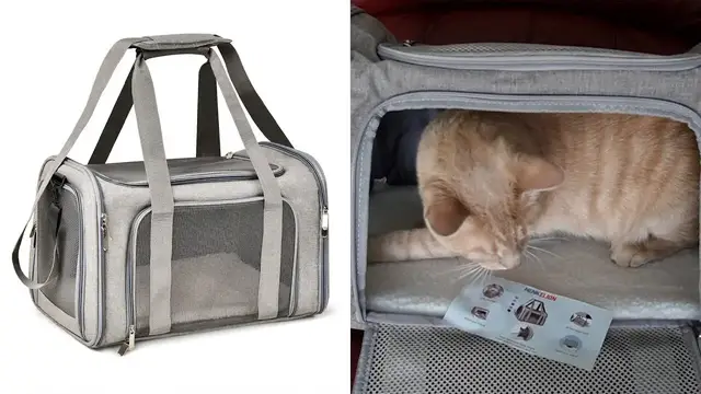 'Video thumbnail for Does My Cat Like This Henkelion Cat Carrier? | Review'