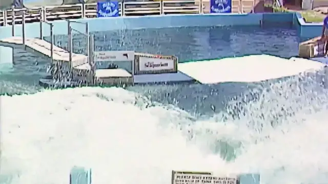 'Video thumbnail for The Devastating Truth Behind Lolita The Killer Whale'