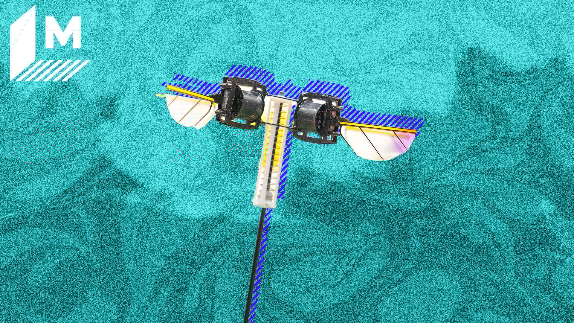 'Video thumbnail for MIT's tiny hopping robot is designed to go places humans can't'