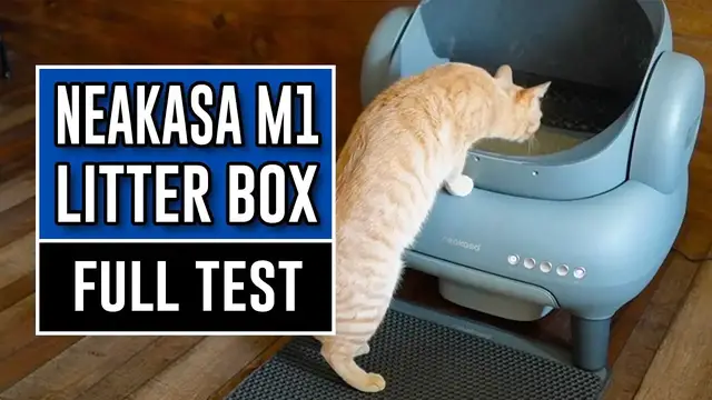 'Video thumbnail for Neakasa M1 Automatic Litter Box Setup and App Control'