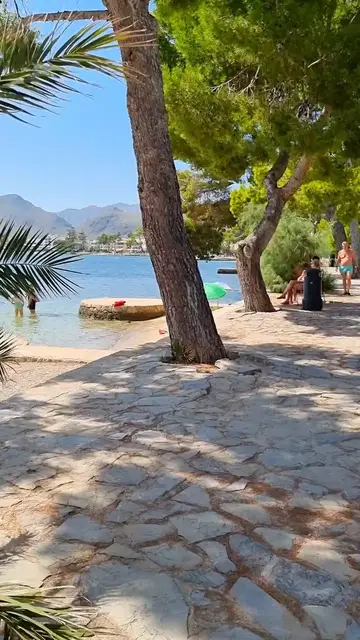 'Video thumbnail for A stroll along the Pine Walk - Puerto Pollensa, Mallorca'