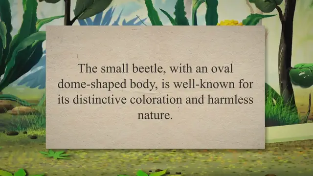 'Video thumbnail for All About the Ladybug: Beetle of Our Lady'
