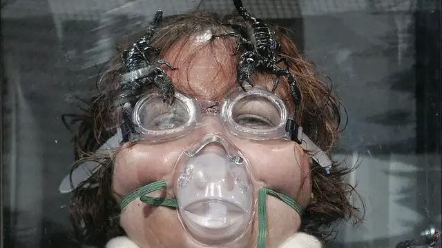 'Video thumbnail for The Untold Truth Of Fear Factor'
