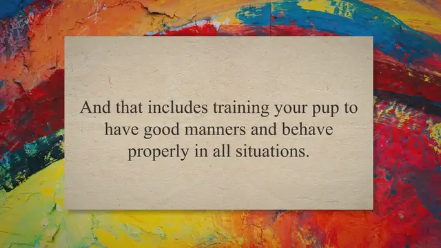 'Video thumbnail for How to be a Good Dog Owner – Tips from a Professional Dog Trainer'
