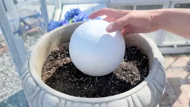 'Video thumbnail for Stick a Dollar Store foam ball into a planter for this GENIUS porch idea!'