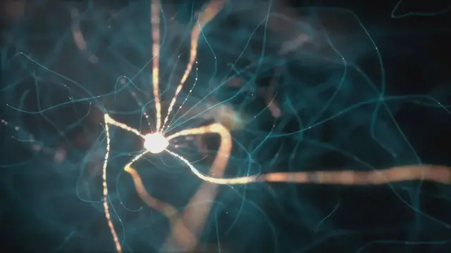 'Video thumbnail for The Law of Association, Psychology, Memory, and Understanding the Human Mind'