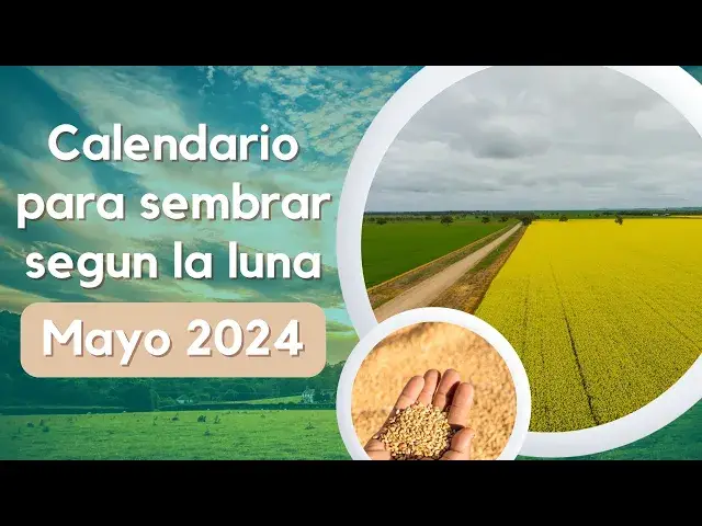 'Video thumbnail for Calendario lunar para sembrar en Mayo de 2024'