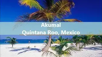 'Video thumbnail for Akumal, Quintana Roo, México'