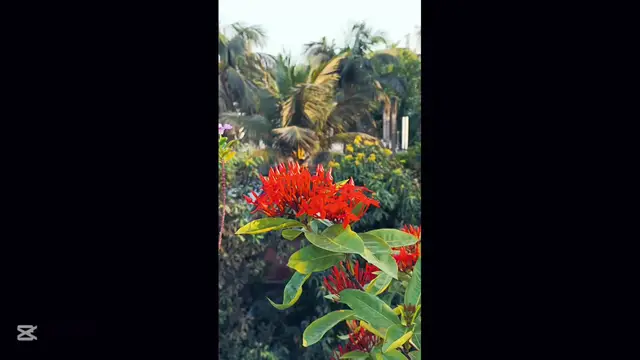 'Video thumbnail for A cloudy Day'