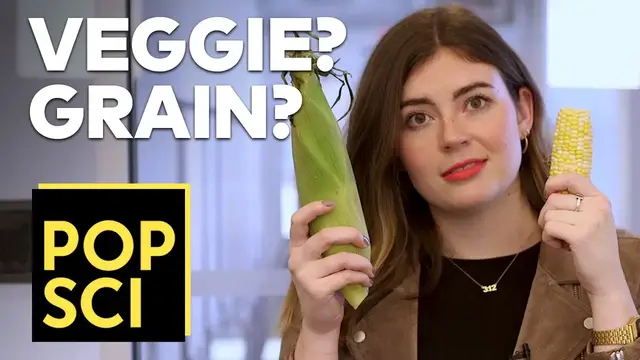 'Video thumbnail for Is Corn a Fruit, Vegetable, or Grain?'