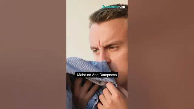 'Video thumbnail for Why Do Closets Smell? | #shorts'