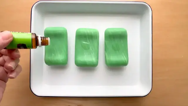 'Video thumbnail for Lay 3 bars of Irish Spring soap on a tray for this BRILLIANT outdoor idea!'