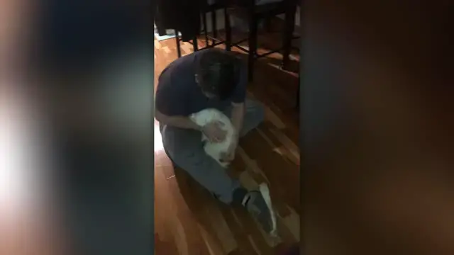 'Video thumbnail for Dog Reunited With Doctor Owner Who Has Been Working On Front Lines | Happily TV'