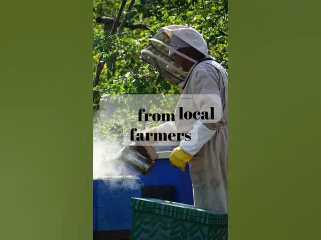 'Video thumbnail for The 3 Secrets to Buying the Best Natural Honey! #shorts #honey'