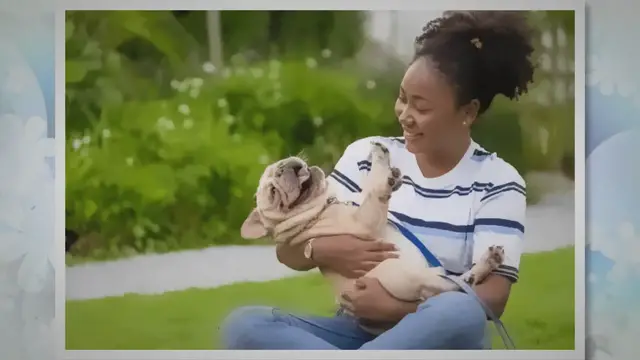 'Video thumbnail for Grooming Grace: Dog Grooming Products That Dogs Love'