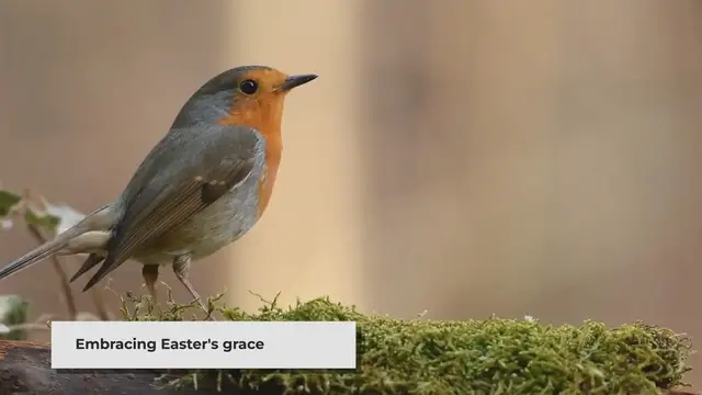 'Video thumbnail for Easter Blessings: New Beginnings of Love, Rebirth, and Faith'