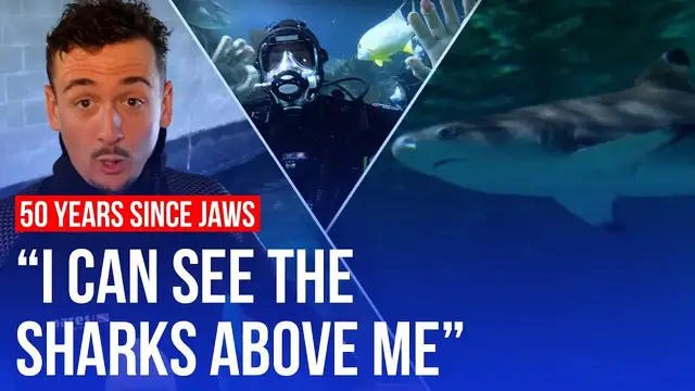 'Video thumbnail for Apprehensive journalist swims with sharks: 50 years since Jaws | LBC'