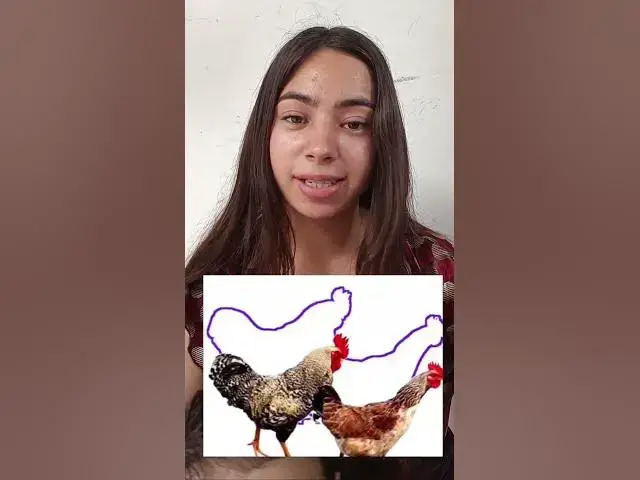 'Video thumbnail for Reto imposible #desafiosmentales #retosvirales #Entretenimiento #retos'