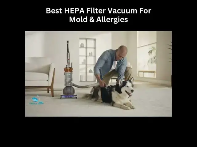 'Video thumbnail for Best HEPA Filter Vacuum for Mold & Allergies #Shorts'