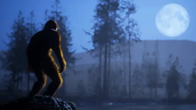 'Video thumbnail for Bigfoot Life - Official Wishlist Trailer'