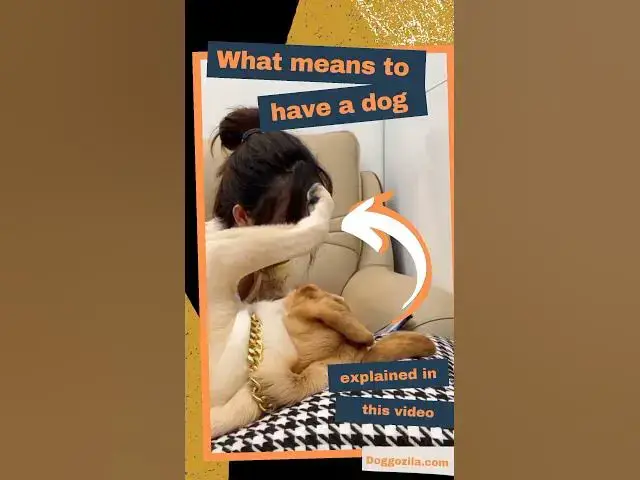 'Video thumbnail for What means to have a dog #dogblogger #doglover #loverdog #dawg #cutestdogs'