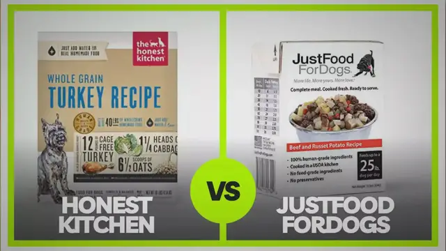 'Video thumbnail for Butternut Box vs Tails: Which Dog Food is the Best for Your Furry Friend'