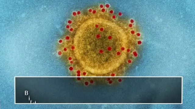 'Video thumbnail for How do viruses spread?'