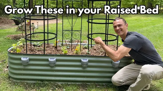 'Video thumbnail for Veggies to Grow in a Raised Bed Planter this Summer - Tips for a Big Harvest'