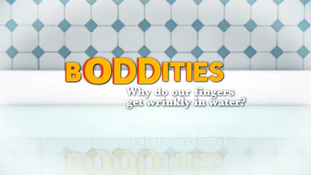 'Video thumbnail for Boddities | Episode 7 | Why do our fingers get wrinkly in water?'