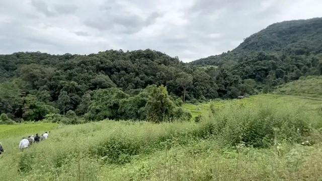 'Video thumbnail for Rice Paddies and Nature, Jungle Trek, Chiang Mai, Thailand'