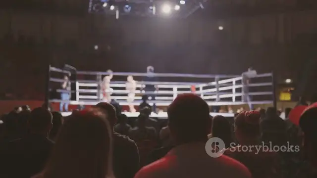 'Video thumbnail for Carl Froch's Brutal Take on Garcia vs Romero and Canelo vs Scull'